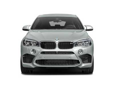 2019 BMW X6, $0. Photo 7