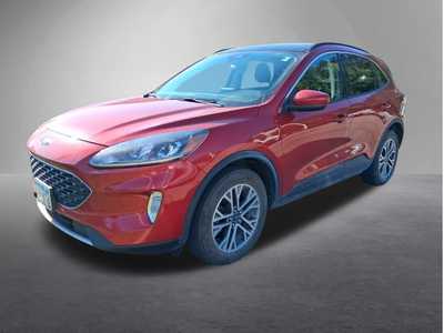 2021 Ford Escape, $18495. Photo 3