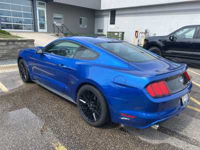 2017 Ford Mustang, $18998. Photo 4