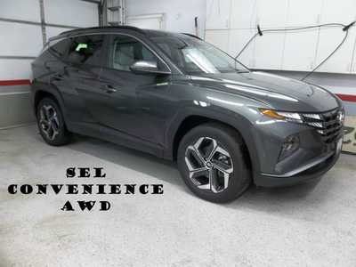 2023 Hyundai Tucson, $25990. Photo 1