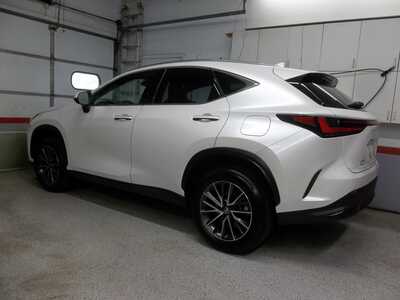 2024 Lexus NX Series, $37990. Photo 2