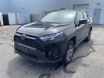 2024 Toyota RAV4, $32999. Photo 3