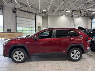 2019 Toyota RAV4, $21000. Photo 4