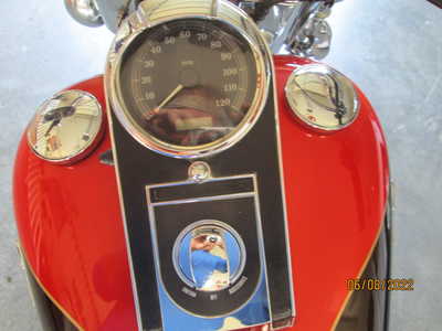 2007 Harley Davidson Heritage, $8250. Photo 5