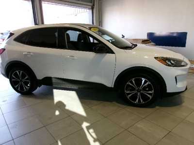 2021 Ford Escape, $20995. Photo 4