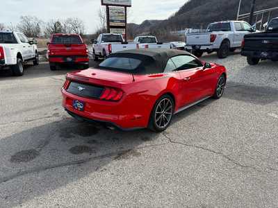 2019 Ford Mustang, $21995. Photo 5