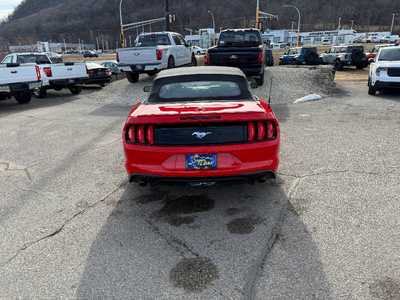 2019 Ford Mustang, $21995. Photo 6