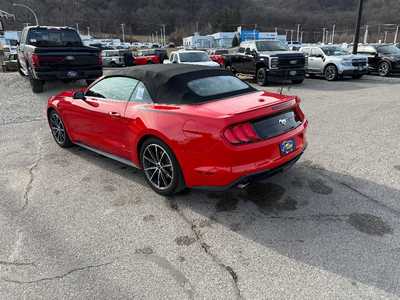 2019 Ford Mustang, $21995. Photo 7