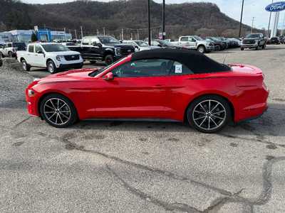 2019 Ford Mustang, $21995. Photo 8