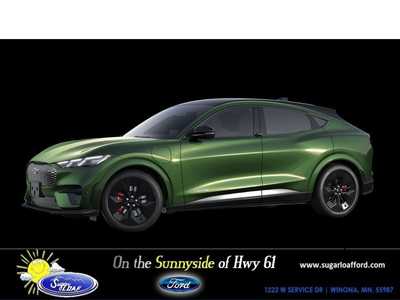 2025 Ford Mustang Mach-E, $54944. Photo 9
