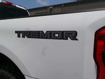 2024 Ford F250 Crew Cab, $68995. Photo 6