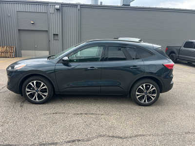 2022 Ford Escape, $26495. Photo 4