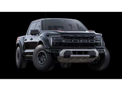2025 Ford F150 Crew Cab, $94190. Photo 12