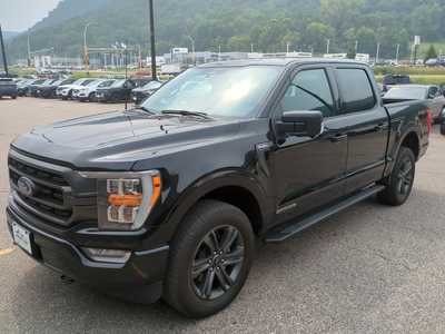 2023 Ford F150 Crew Cab, $0. Photo 3