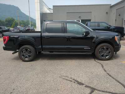 2023 Ford F150 Crew Cab, $0. Photo 5
