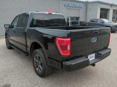 2023 Ford F150 Crew Cab, $0. Photo 8