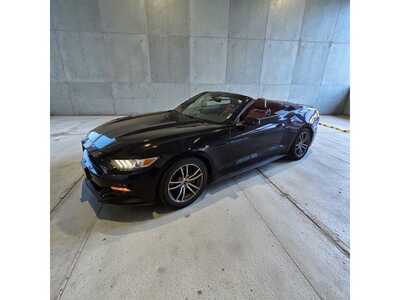 2017 Ford Mustang, $17995. Photo 5