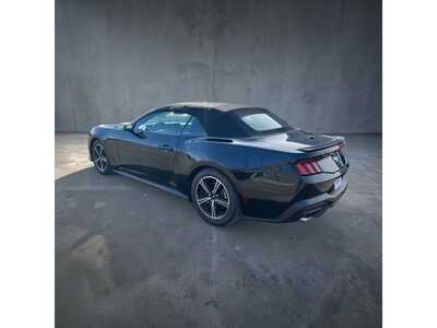 2025 Ford Mustang, $35895. Photo 4
