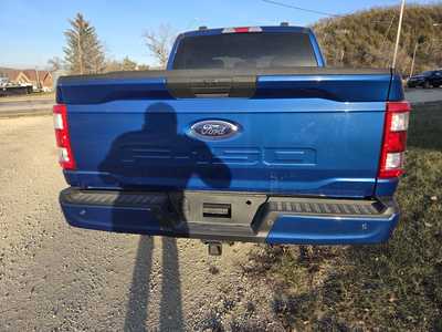 2023 Ford F150 Crew Cab, $39000. Photo 5