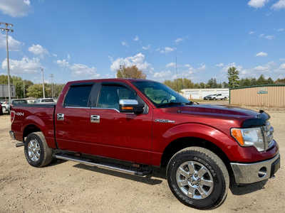 2014 Ford F150 Crew Cab, $15998. Photo 7