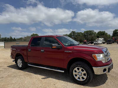 2013 Ford F150 Crew Cab, $13198. Photo 7