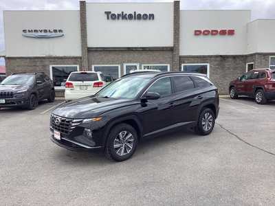2022 Hyundai Tucson, $20975. Photo 1