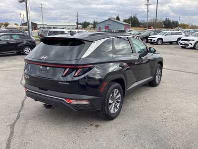 2022 Hyundai Tucson, $20975. Photo 4