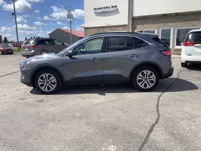 2022 Ford Escape, $23975. Photo 2