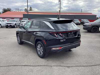 2022 Hyundai Tucson, $20975. Photo 3