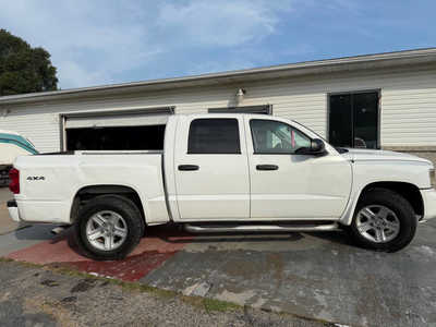 2011 RAM Dakota Crew Cab, $6990. Photo 10