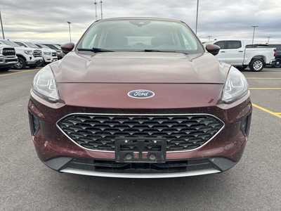 2021 Ford Escape, $21000. Photo 2