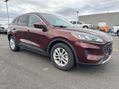 2021 Ford Escape, $21000. Photo 3
